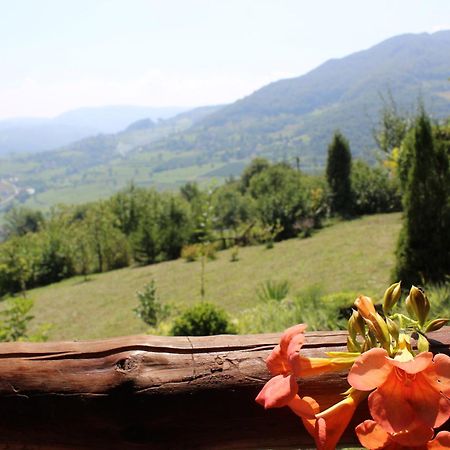 Visoko Gorani Cottage Zewnętrze zdjęcie