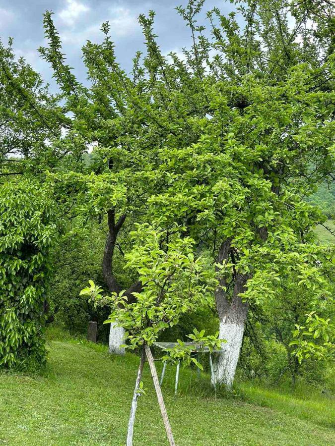 Visoko Gorani Cottage Zewnętrze zdjęcie