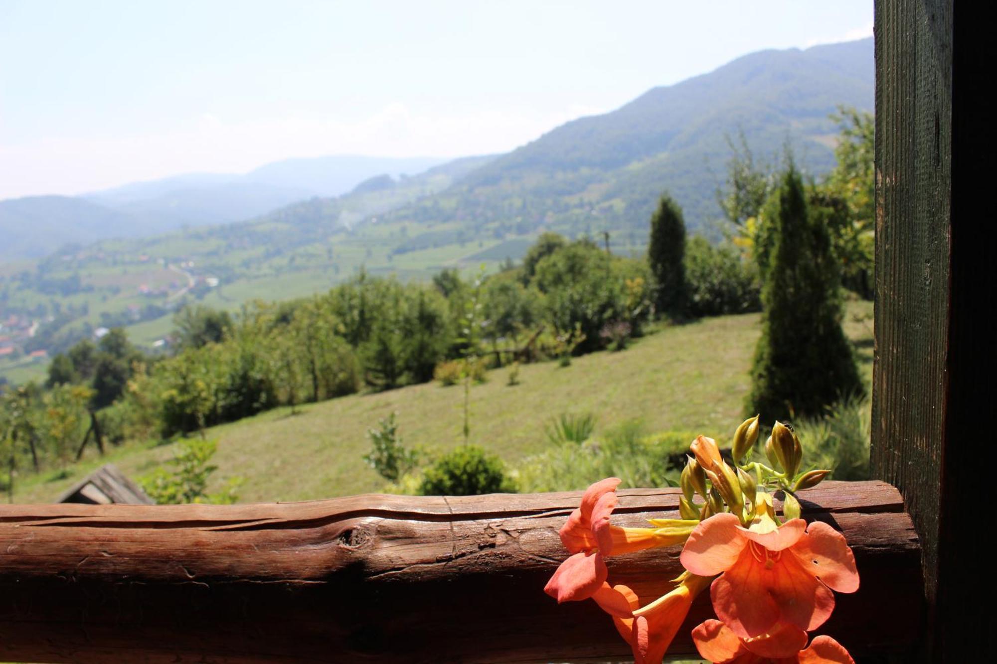 Visoko Gorani Cottage Zewnętrze zdjęcie